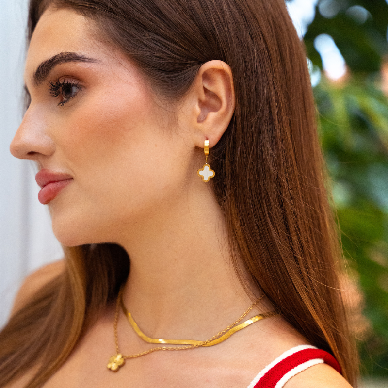 Full moon beagle (black)