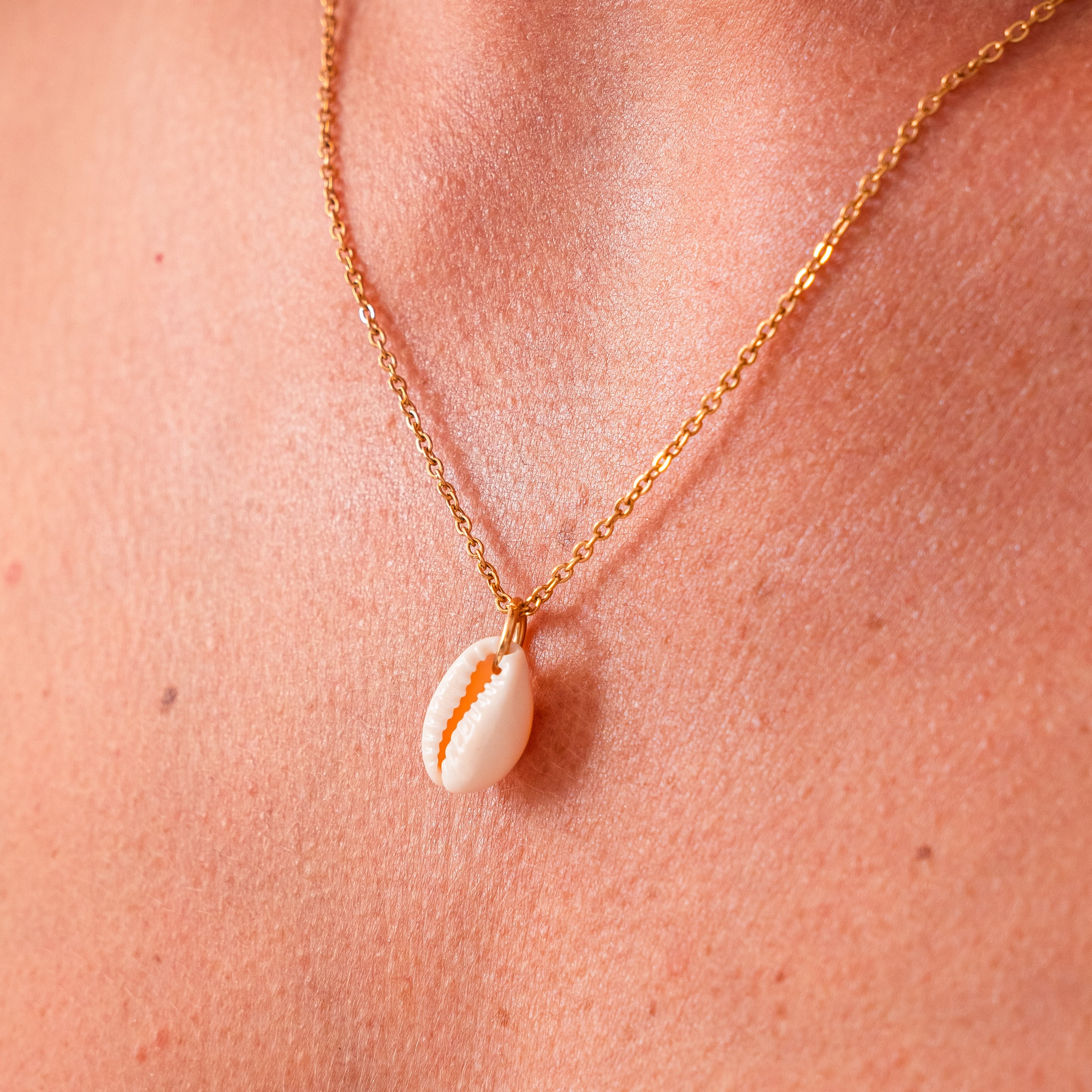 Kauri Shell Necklace
