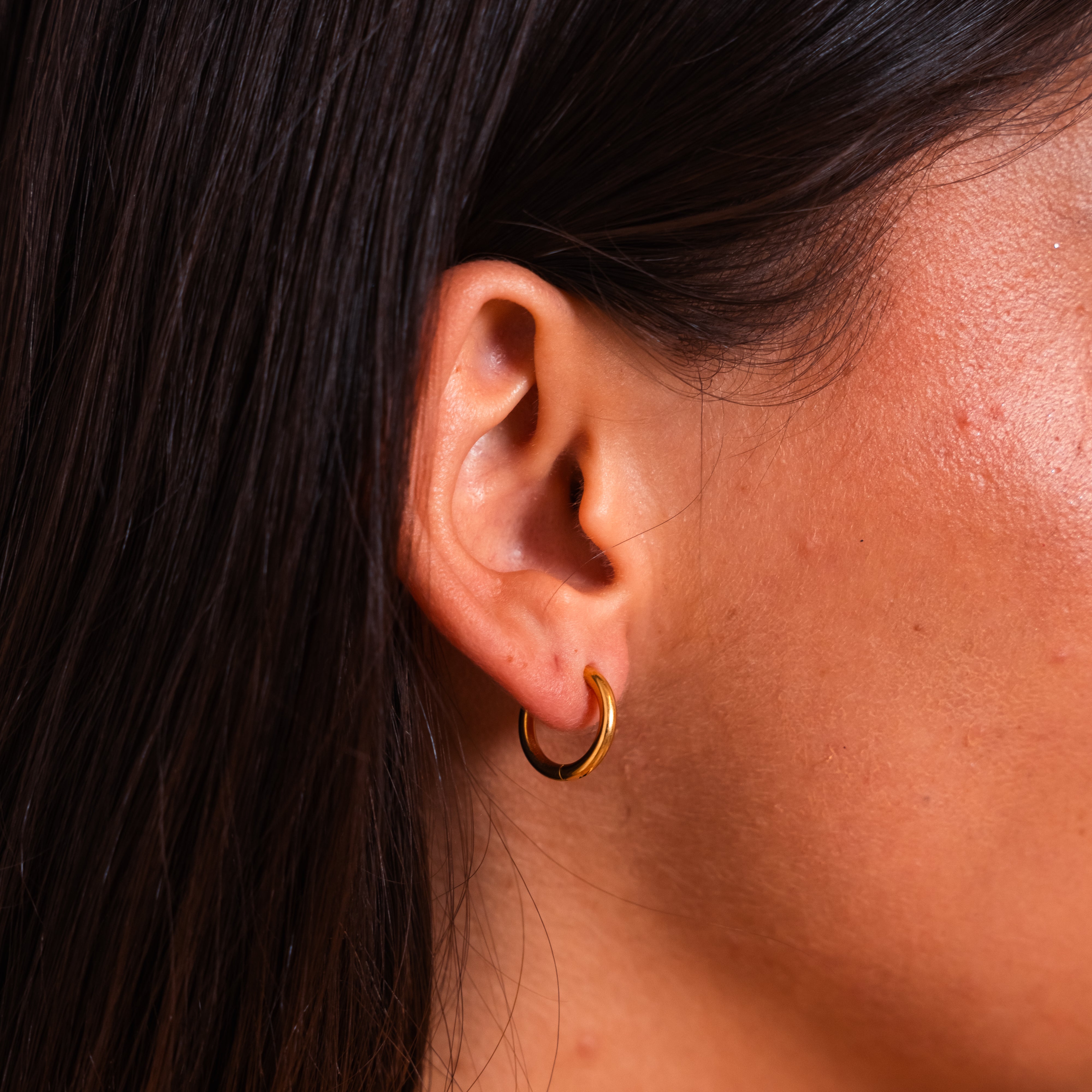 Classics Earring