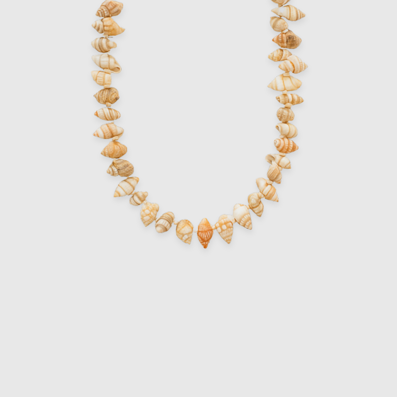 Shell Party