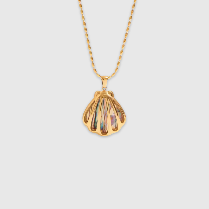 Shell Me More