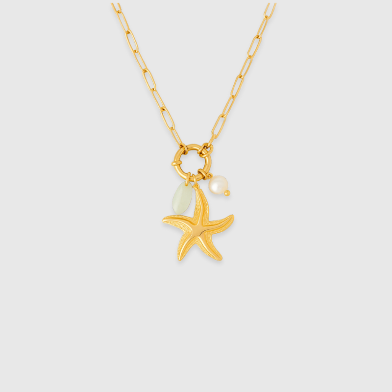 Star of the Show